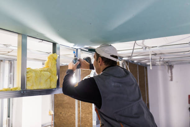 Best Commercial Insulation in Oostburg, WI