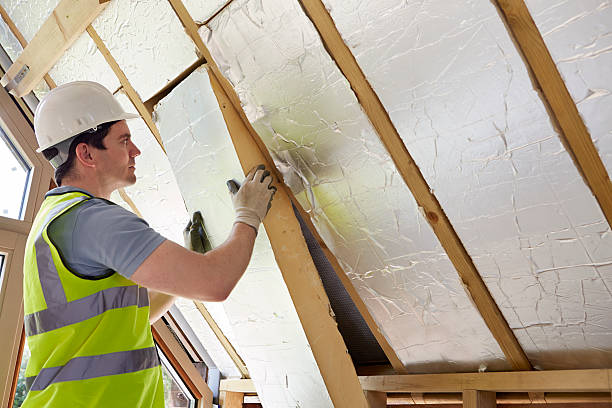 Best Cellulose Insulation in Oostburg, WI